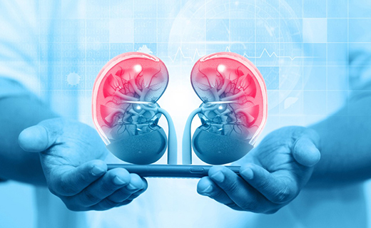 Nephrology & Kidney