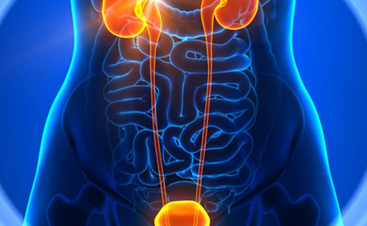 Kidney & Urology